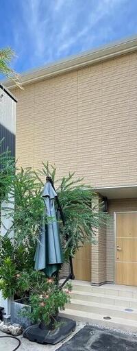 カーサセントレ