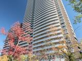 河田町ガーデン1号棟 23階 2306 トップ画像