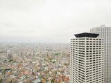 セントラルパークタワー　ラ・トゥール新宿 40階 4006
