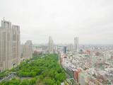 セントラルパークタワー　ラ・トゥール新宿 40階 4006