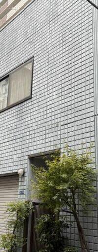 堀越ビル