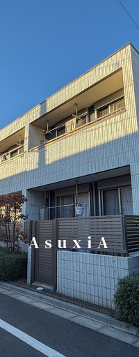 ソレイユ松の木