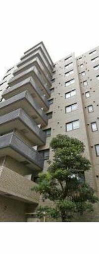 南青山パークマンション
