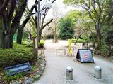 ルミナス駒場 1階 103