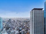 セントラルパークタワー　ラ・トゥール新宿 36階 3607