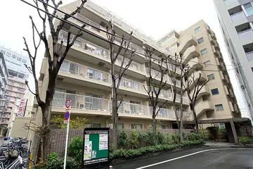 ハイツ日本橋中洲の外観