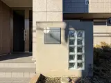 レッドパイン トップ画像