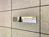 REX白金