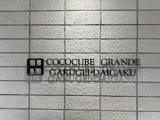 COCOCUBE GRANDE学芸大学 4階 404