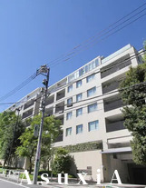 センチュリーフォレスト