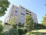 センチュリーフォレスト