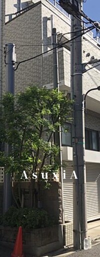 メインステージ白金高輪