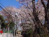 コティジ二宮 1階