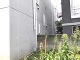 早稲田鶴巻町IMAハウス 2階 204