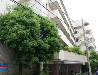 高雅ホームズ学芸大