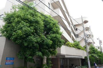 高雅ホームズ学芸大の外観