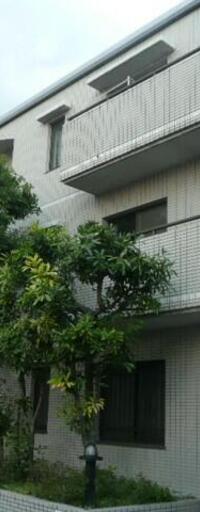 西小山アパートメント