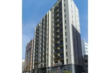 松葉の外観