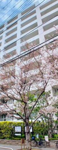 Brillia品川中延