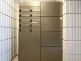 ソフィアメイト