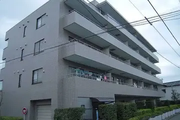 ドゥエルNKの外観