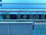 三田ナショナルコート 4階 416