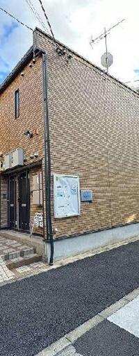 レオネクストグレイスタートル