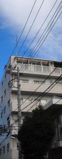ダイアパレス自由が丘