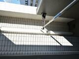 カスタリア新宿 11階 1103