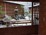 番町ロイヤルコート 5階 505