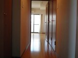 パレステュディオ広尾 11階 1102