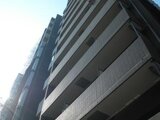 パレステュディオ広尾 11階 1102