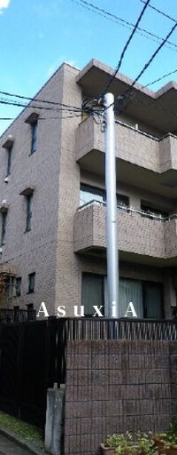 プラタナス目黒