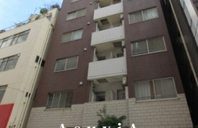 ラグジュアリーアパートメント東日本橋