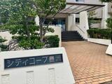 シティコープ豊洲 5階 511