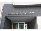 LUPINUS COURT 5階 0501