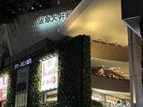アメニティ55 7階 701