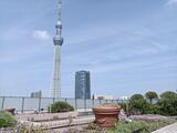 フルーヴ押上 6階 606