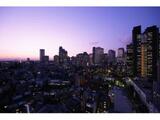 MY TOWER RESIDENCE 11階 1101