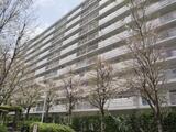 ファミリータウン東陽L棟 7階