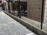 天神町place 5階 501