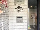 Cat tail