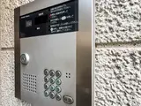 テール ベール