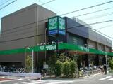 シティインデックス武蔵小山 2階 204