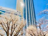 ブリリアタワー上野池之端 7階 702