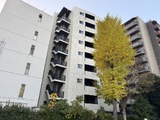 Villa M01 7階 701