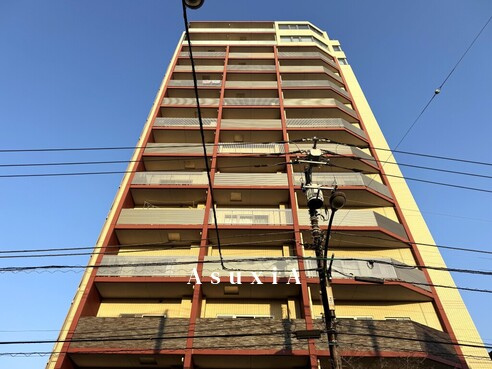 シャルマンミューズ