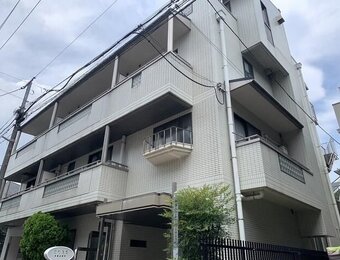 ドムス金城
