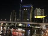 ダイナシティ浅草 3階 302