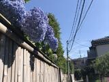 ルミエールタカハシ 1階 101